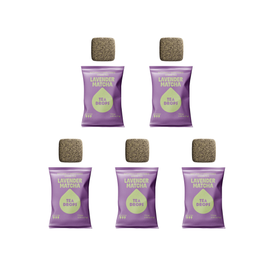 Lavender Matcha