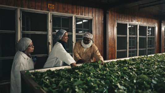Tea Drops is Fair Trade Certified!