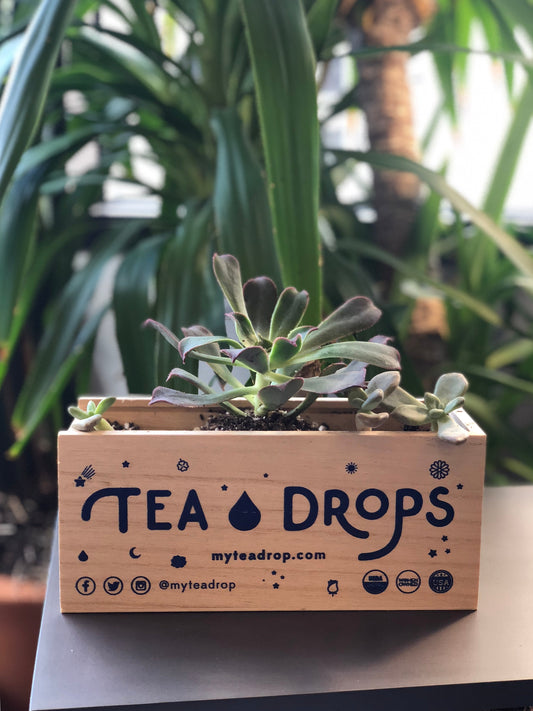 Repurposing your Tea Drops wood box!