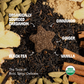 Chai Spice Tea Box