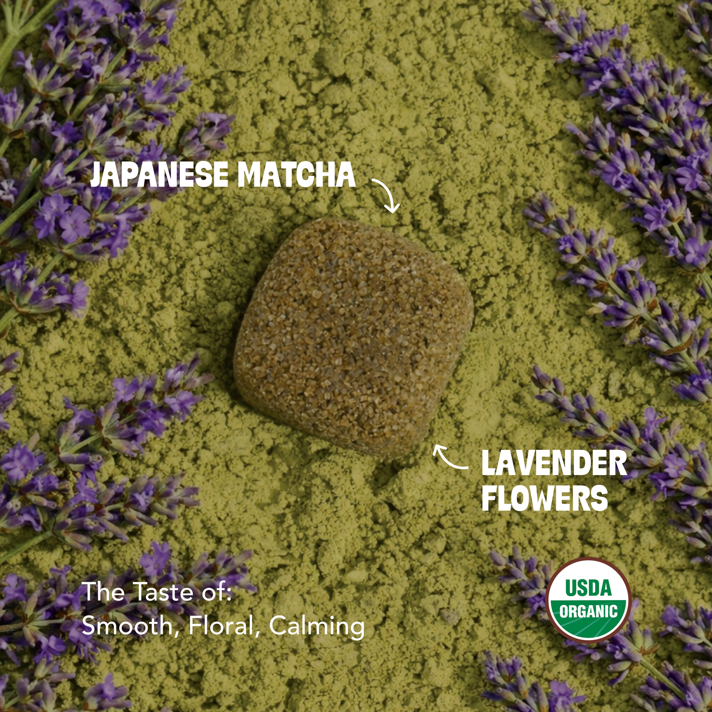 Matcha Lovers Trio Bundle