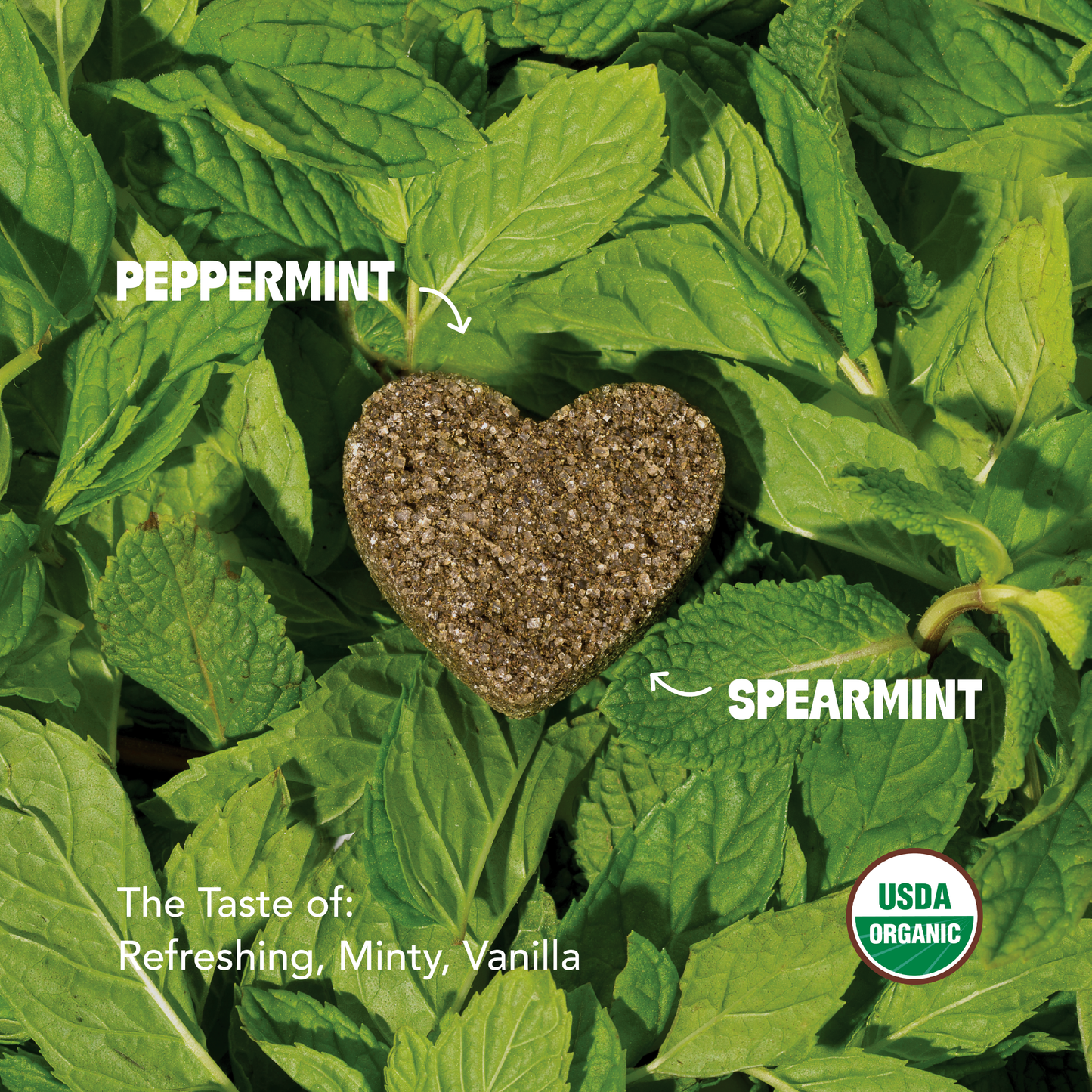 Peppermint