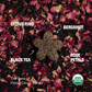 Tea Drops Obsessed Collection