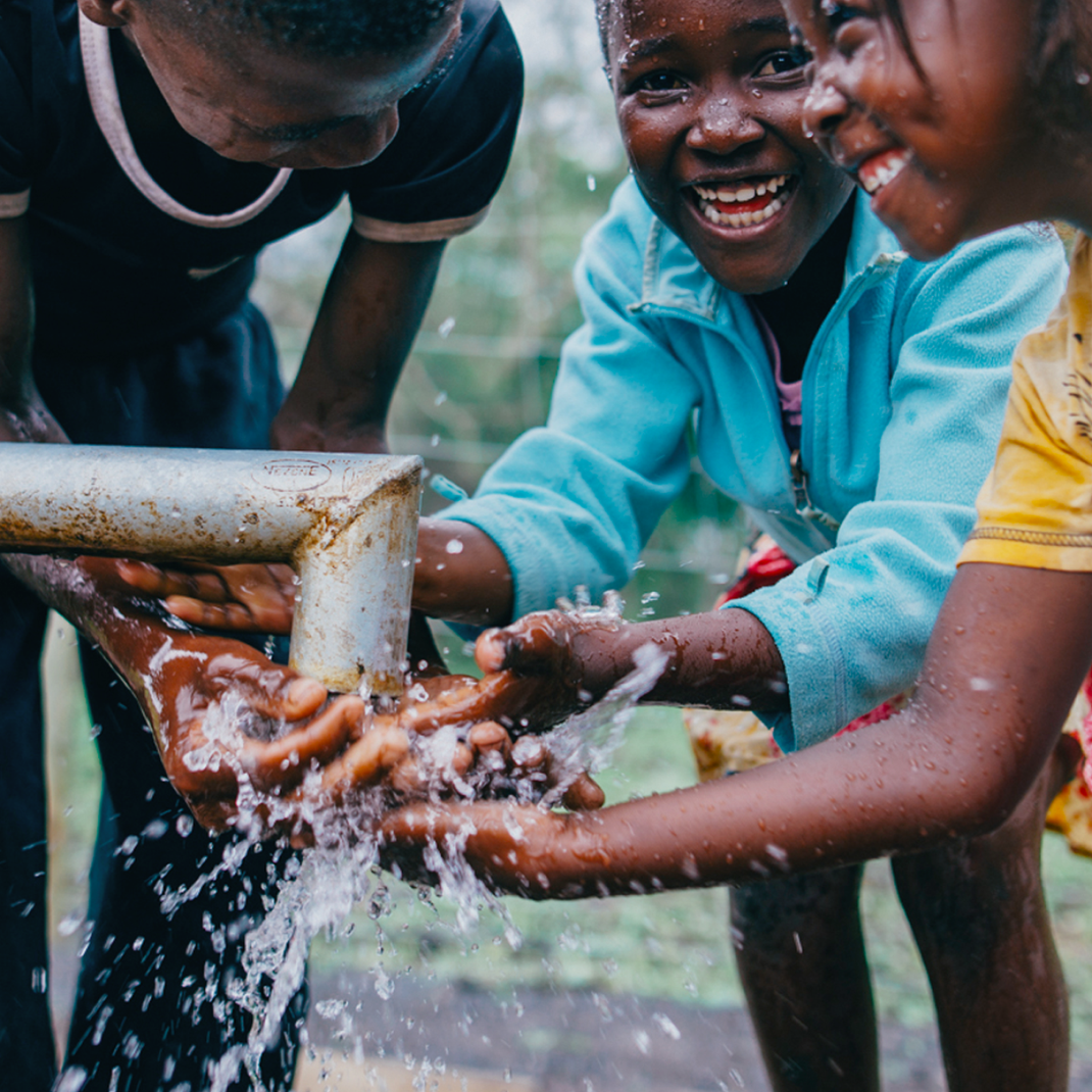 Why tea drops Tea Drops